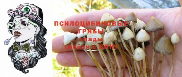 не бодяженный Балахна
